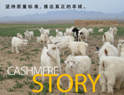 精心纺出一根根纱线。这真是从地球大自然送来的礼物。