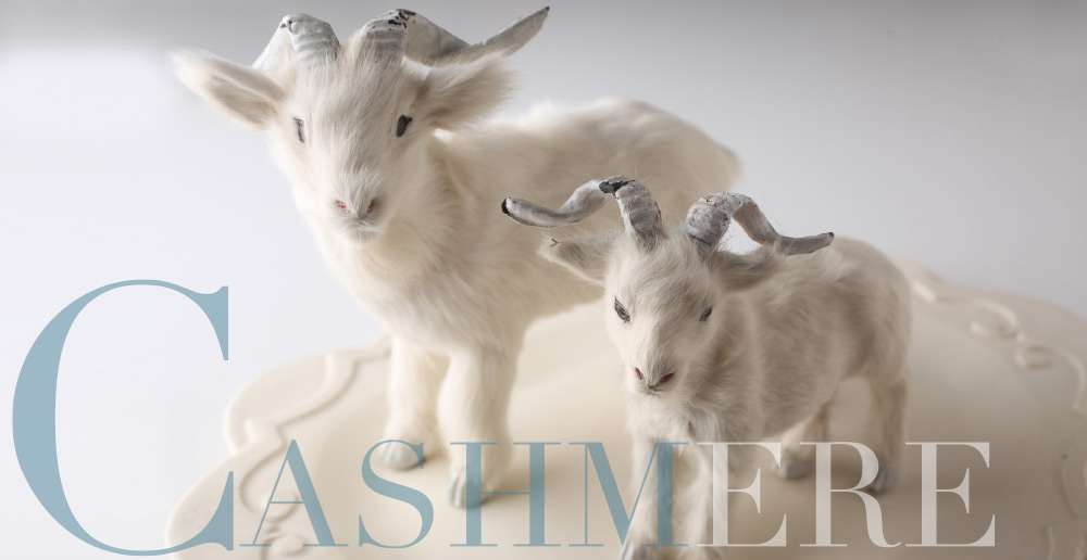 Cashmere