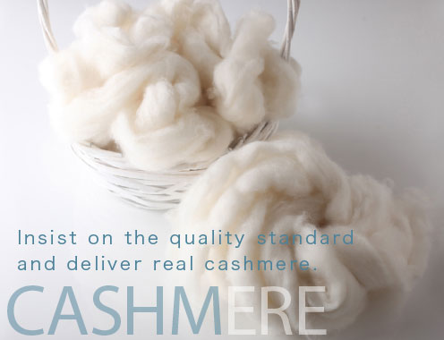 Insist on the quality standard and deliver real cashmere.