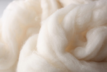 ピュアアラシャンカシミヤ