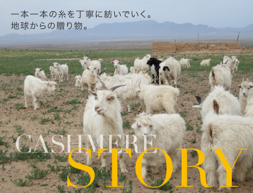 一本一本の糸を丁寧に紡いでいく。地球からの贈り物。